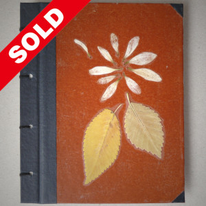 a_spring1_sold